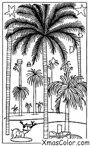 Christmas / Christmas in the desert: A desert oasis with a Christmas palm tree
