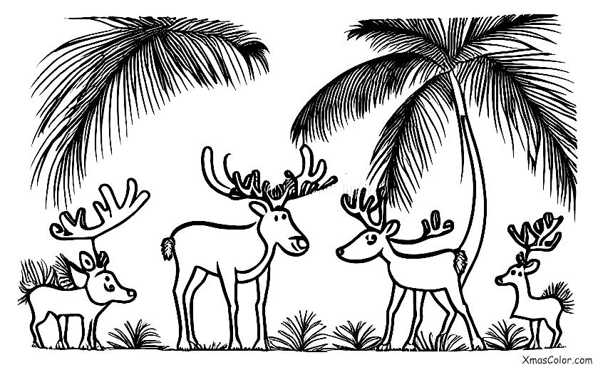 Christmas / Christmas Island: Christmas Island reindeer