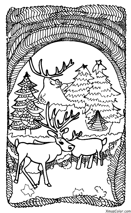 Christmas / Christmas Island: The reindeer on Christmas Island