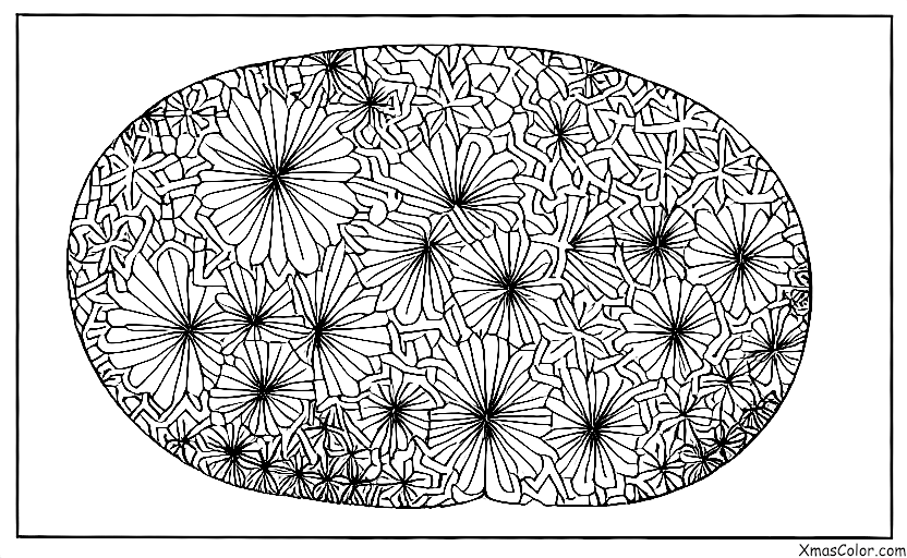 Christmas / New Year's Eve: Fireworks are lighting up the sky