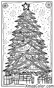 Christmas / Winter Wonderland: Christmas tree at night